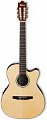 IBANEZ GM600CE-NT классическая электроакустическая гитара с нейлоновыми струнами купить в Москве: цены, доставка, фото IBANEZ GM600CE-NT классическая электроакустическая гитара с нейлоновыми струнами купить в Москве: цены, доставка, фото