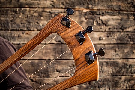 Бас-Тальхарпа Тор купить в Москве: цены, доставка, фото Бас-Тальхарпа Тор купить в Москве: цены, доставка, фото