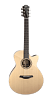 FURCH Green Gc-SR Акустическая гитара с кейсом купить в Москве: цены, доставка, фото