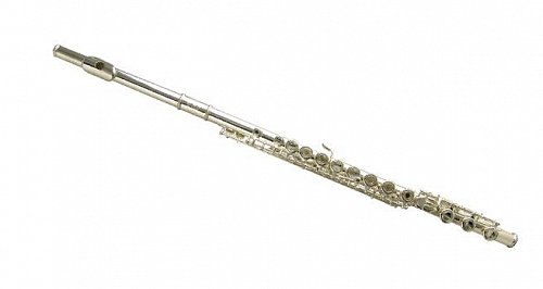 Флейта WISEMANN DFL-600SSH купить в Москве: цены, доставка, фото Флейта WISEMANN DFL-600SSH купить в Москве: цены, доставка, фото