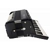 HOHNER Amica Forte IV 120 Black (A38321) купить в Москве: цены, доставка, фото HOHNER Amica Forte IV 120 Black (A38321) купить в Москве: цены, доставка, фото