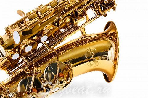 Саксофон Альт Condor CAS-460 купить в Москве: цены, доставка, фото Саксофон Альт Condor CAS-460 купить в Москве: цены, доставка, фото