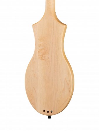 Дульцимер Seagull M4 купить в Москве: цены, доставка, фото Дульцимер Seagull M4 купить в Москве: цены, доставка, фото