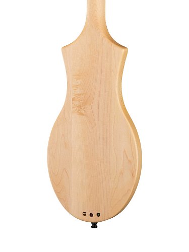 Дульцимер Seagull M4 купить в Москве: цены, доставка, фото Дульцимер Seagull M4 купить в Москве: цены, доставка, фото