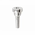 Schilke мундштук для тромбона Schilke 55 50C4 купить в Москве: цены, доставка, фото Schilke мундштук для тромбона Schilke 55 50C4 купить в Москве: цены, доставка, фото