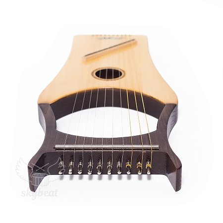 Лира 10-струнная, с увеличенным резонаторным корпусом купить в Москве: цены, доставка, фото Лира 10-струнная, с увеличенным резонаторным корпусом купить в Москве: цены, доставка, фото