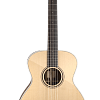 FURCH Green G-SR Акустическая гитара с кейсом купить в Москве: цены, доставка, фото FURCH Green G-SR Акустическая гитара с кейсом купить в Москве: цены, доставка, фото