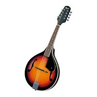 Мандолины купить в Москве: цены, доставка, фото Мандолины купить в Москве: цены, доставка, фото