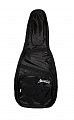 Mustang ЧГК3 чехол для классической гитары купить в Москве: цены, доставка, фото Mustang ЧГК3 чехол для классической гитары купить в Москве: цены, доставка, фото