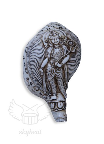 Поющая раковина Shankha Carving продажа в Москве Поющая раковина Shankha Carving купить в Москве: цены, доставка, фото