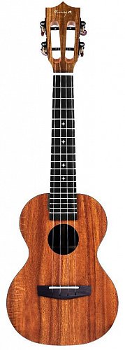 Укулеле Enya EUC-X1 купить в Москве: цены, доставка, фото Укулеле Enya EUC-X1 купить в Москве: цены, доставка, фото