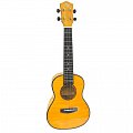 Укулеле концертная MARTIN ROMAS MR-22 ( 24" ), цвет желтый купить в Москве: цены, доставка, фото Укулеле концертная MARTIN ROMAS MR-22 ( 24" ), цвет желтый купить в Москве: цены, доставка, фото