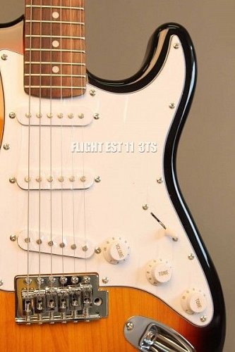 Электрогитара FLIGHT EST11 3TS купить в Москве: цены, доставка, фото Электрогитара FLIGHT EST11 3TS купить в Москве: цены, доставка, фото