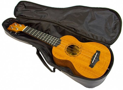 Укулеле Enya EUS-20 купить в Москве: цены, доставка, фото Укулеле Enya EUS-20 купить в Москве: цены, доставка, фото