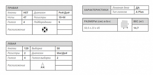 Аккордеон Scandalli Extreme P Plus купить в Москве: цены, доставка, фото Аккордеон Scandalli Extreme P Plus купить в Москве: цены, доставка, фото