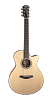 FURCH Green Gc-SM Акустическая гитара с кейсом купить в Москве: цены, доставка, фото