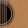 TAKAMINE PRO SERIES 3 P3DC-12 12-ти струнная электроакустическая гитара типа DREADNOGHT CUTAWAY с кейсом, цвет натуральный купить в Москве: цены, доставка, фото TAKAMINE PRO SERIES 3 P3DC-12 12-ти струнная электроакустическая гитара типа DREADNOGHT CUTAWAY с кейсом, цвет натуральный купить в Москве: цены, доставка, фото