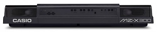 Синтезатор Casio MZ-X300 купить в Москве: цены, доставка, фото Синтезатор Casio MZ-X300 купить в Москве: цены, доставка, фото