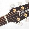 TAKAMINE PRO SERIES 6 P6N BSB электроакустическая гитара типа NEX с кейсом, цвет санбёрст купить в Москве: цены, доставка, фото TAKAMINE PRO SERIES 6 P6N BSB электроакустическая гитара типа NEX с кейсом, цвет санбёрст купить в Москве: цены, доставка, фото