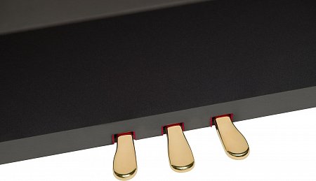 ROLAND LX-7-CB цифровое фортепиано_1-я часть комплекта купить в Москве: цены, доставка, фото ROLAND LX-7-CB цифровое фортепиано_1-я часть комплекта купить в Москве: цены, доставка, фото