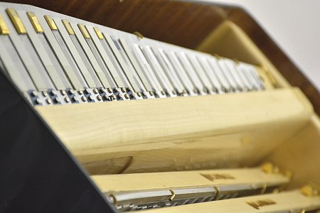 Аккордеон Scandalli Extreme P Plus купить в Москве: цены, доставка, фото Аккордеон Scandalli Extreme P Plus купить в Москве: цены, доставка, фото