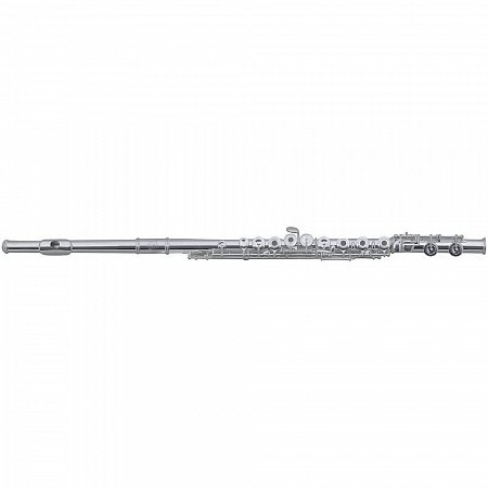 ROY BENSON FL-602E флейта (Ми-механика) купить в Москве: цены, доставка, фото