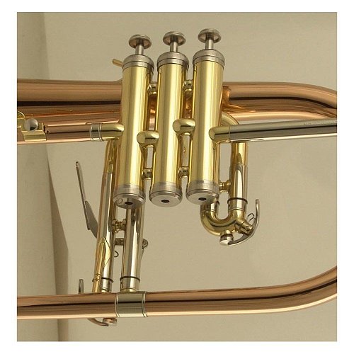 Флюгельгорн WISEMANN FLH-600 купить в Москве: цены, доставка, фото Флюгельгорн WISEMANN FLH-600 купить в Москве: цены, доставка, фото