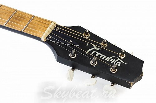 Акустическая гитара Trembita б/у купить в Москве: цены, доставка, фото Акустическая гитара Trembita б/у купить в Москве: цены, доставка, фото