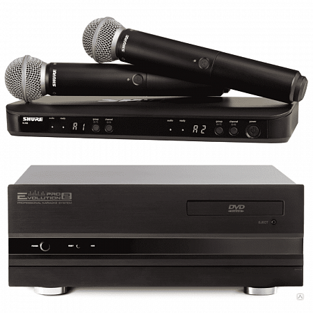 Профессиональный комплект караоке Evolution Pro Singer