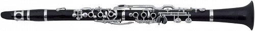 ROY BENSON CG-521 кларнет купить в Москве: цены, доставка, фото ROY BENSON CG-521 кларнет купить в Москве: цены, доставка, фото