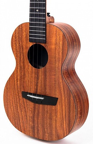 Укулеле Enya EUT-X1 купить в Москве: цены, доставка, фото Укулеле Enya EUT-X1 купить в Москве: цены, доставка, фото