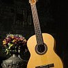Классическая гитара FLIGHT C-120 NA купить в Москве: цены, доставка, фото Классическая гитара FLIGHT C-120 NA купить в Москве: цены, доставка, фото