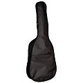 Чехол для классической гитары BRAHNER GC-2/1 (3/4) купить в Москве: цены, доставка, фото Чехол для классической гитары BRAHNER GC-2/1 (3/4) купить в Москве: цены, доставка, фото