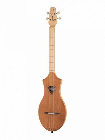 Дульцимер Seagull M4 купить в Москве: цены, доставка, фото Дульцимер Seagull M4 купить в Москве: цены, доставка, фото