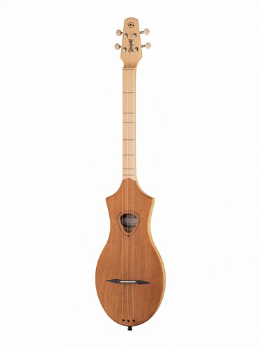 Дульцимер Seagull M4 купить в Москве: цены, доставка, фото Дульцимер Seagull M4 купить в Москве: цены, доставка, фото