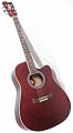 Акустическая гитара Rapida WA купить в Москве: цены, доставка, фото Акустическая гитара Rapida WA купить в Москве: цены, доставка, фото