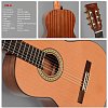 Классическая Гитара Sigma CM-6 купить в Москве: цены, доставка, фото Классическая Гитара Sigma CM-6 купить в Москве: цены, доставка, фото