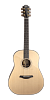 FURCH Yellow RS-SR Акустическая гитара с кейсом купить в Москве: цены, доставка, фото