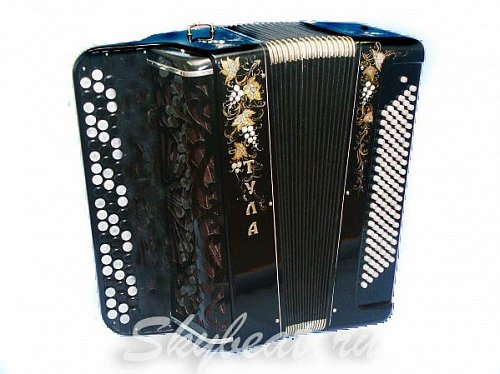 Баян концертный ТУЛА, 64x120-II 415 (чехол + 2 ремня в комплекте) купить в Москве: цены, доставка, фото Баян концертный ТУЛА, 64x120-II 415 (чехол + 2 ремня в комплекте) купить в Москве: цены, доставка, фото