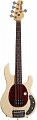 Sterling by MusicMan RAY35CAVC бас-гитара 5ти струнная. купить в Москве: цены, доставка, фото Sterling by MusicMan RAY35CAVC бас-гитара 5ти струнная. купить в Москве: цены, доставка, фото