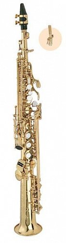 Саксофон сопрано Maxtone TSC-616L купить в Москве: цены, доставка, фото Саксофон сопрано Maxtone TSC-616L купить в Москве: цены, доставка, фото