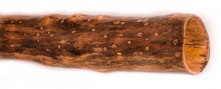 Диджериду из эвкалипта 184 см – До# продажа в Москве Диджериду из эвкалипта 184 см – До# купить в Москве: цены, доставка, фото