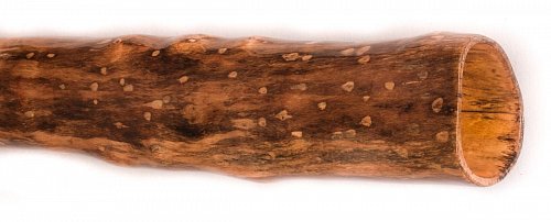 Диджериду из эвкалипта 184 см – До# продажа в Москве Диджериду из эвкалипта 184 см – До# купить в Москве: цены, доставка, фото