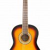 Классическая гитара Euphony EC100/SB купить в Москве: цены, доставка, фото Классическая гитара Euphony EC100/SB купить в Москве: цены, доставка, фото