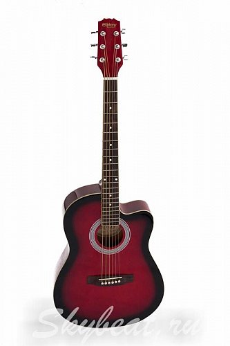 EW-100 купить в Москве: цены, доставка, фото EW-100 купить в Москве: цены, доставка, фото