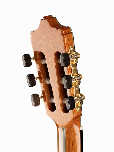 2.316 Flamenco 55th Anniversary Классическая гитара 4/4, с футляром, Alhambra купить в Москве: цены, доставка, фото 2.316 Flamenco 55th Anniversary Классическая гитара 4/4, с футляром, Alhambra купить в Москве: цены, доставка, фото