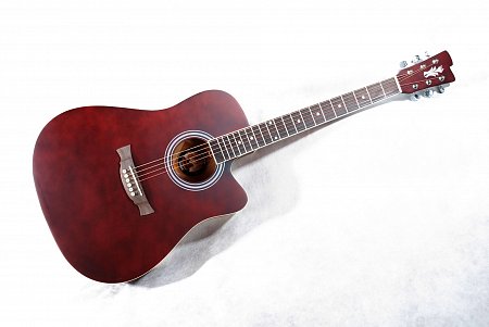 Акустическая гитара Rapida WA купить в Москве: цены, доставка, фото Акустическая гитара Rapida WA купить в Москве: цены, доставка, фото