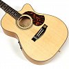 Гитара Maton EBG808C TE купить в Москве: цены, доставка, фото Гитара Maton EBG808C TE купить в Москве: цены, доставка, фото