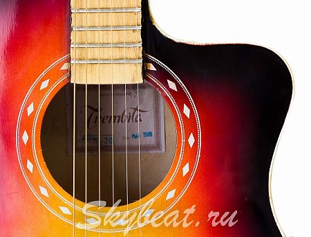 Акустическая гитара Trembita б/у купить в Москве: цены, доставка, фото Акустическая гитара Trembita б/у купить в Москве: цены, доставка, фото