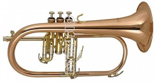 Флюгельгорн WISEMANN FLH-600 купить в Москве: цены, доставка, фото Флюгельгорн WISEMANN FLH-600 купить в Москве: цены, доставка, фото